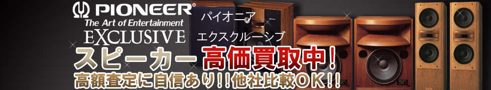 Pioneer EXCLUSIVE (パイオニアエクスクルーシヴ) スピーカー買取一覧