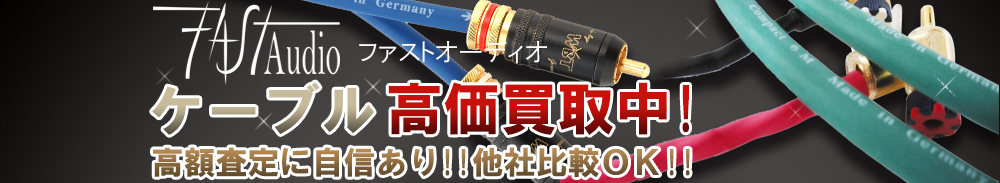FAST AUDIO(ファストオーディオ) ケーブル買取一覧