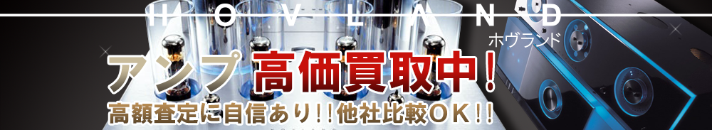 HOVLAND(ホヴランド) アンプ買取一覧