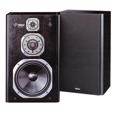 NS-1000X